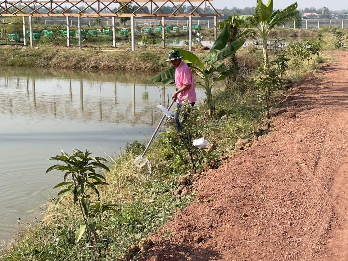 ฝ่ายงานเกษตร องค์การบริหารส่วนตำบลโนนพะยอม ได้ทำการตัดหญ้าเพื่อเตรียมพื้นที่ปลูกต้นไม้ รวมถึงการดูแลต้นไม้ที่กำลังเจริญเติบโต